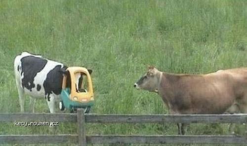 to je ty kravo nova bezpecnostni helma