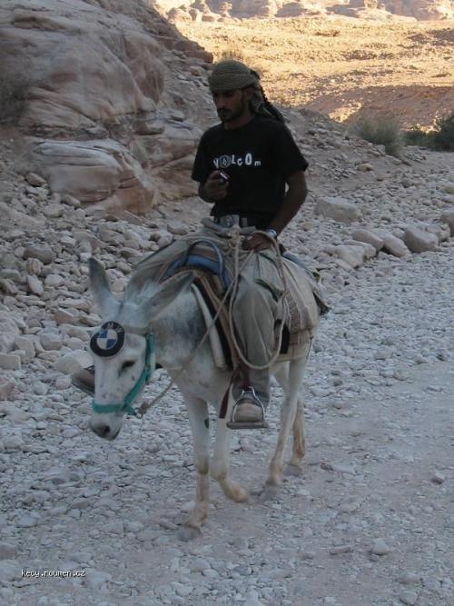  BMW Donkey 