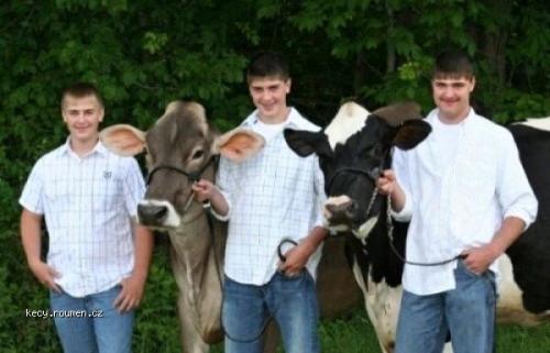  Country Boys and Their Cows 