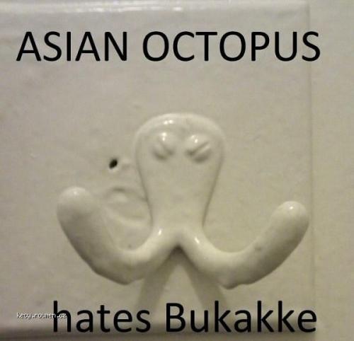  Asian Octopus 