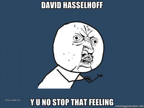  hasselhoff feeling 