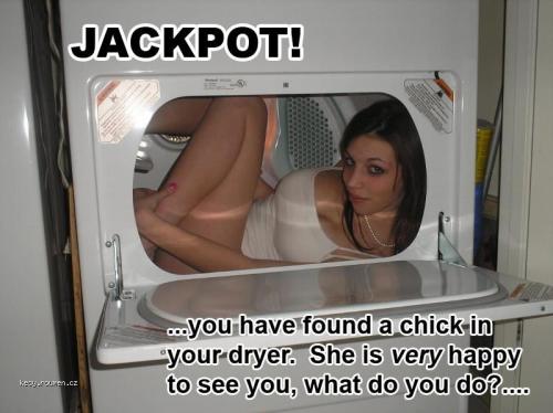 chick dryer