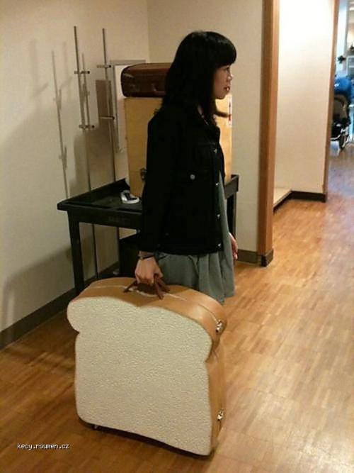  KThe Sandwich Suitcase 