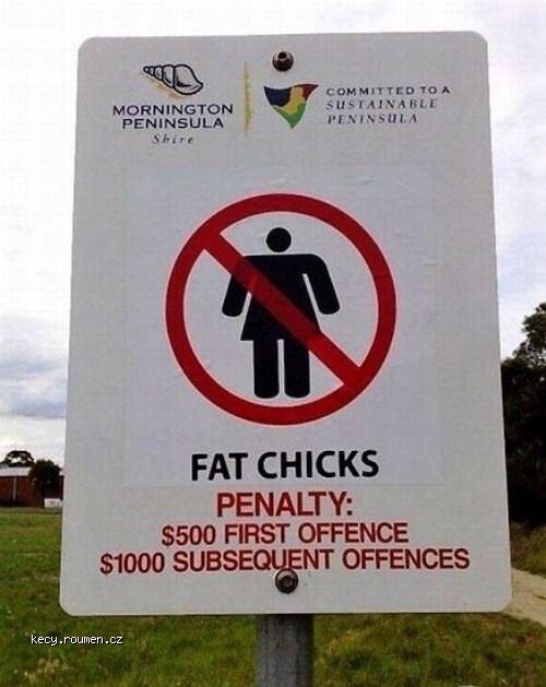 Fat Chicks