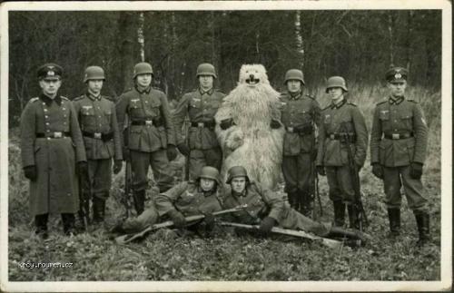 Z historie ruskej medved