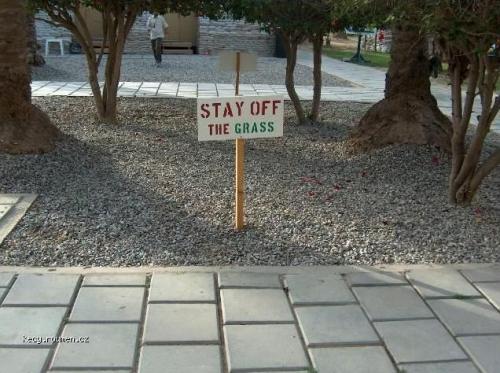 stay of the grass