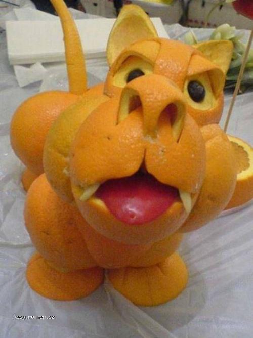 pomerancovej pes