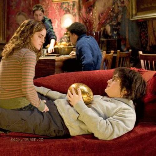  Harry and Hermiona 