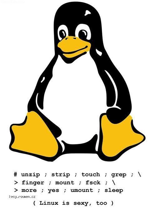  sexy linux 