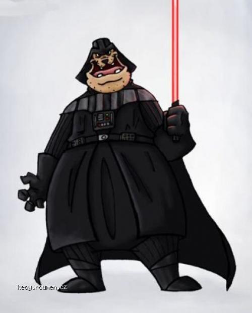  Darth Vader 