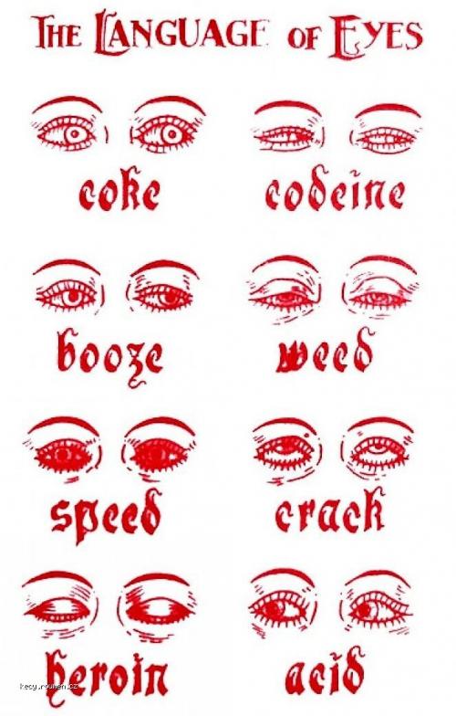  The Language of Eyes 