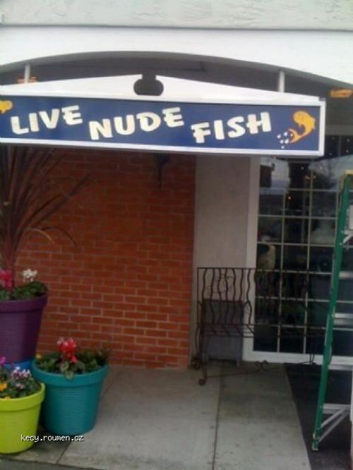  Live nude fish 