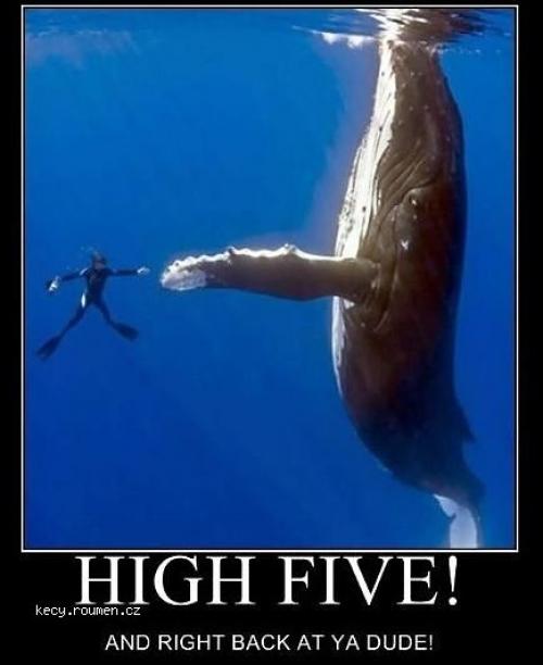  High five 