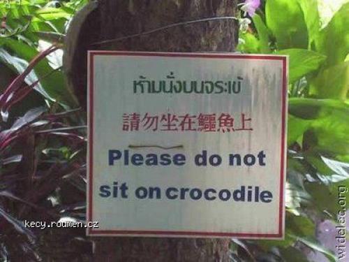 nesedat na krokodyla