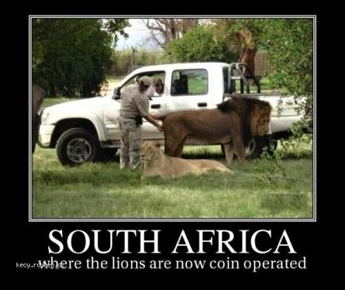  South Africa 