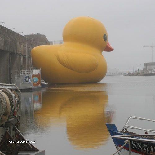  big duck 