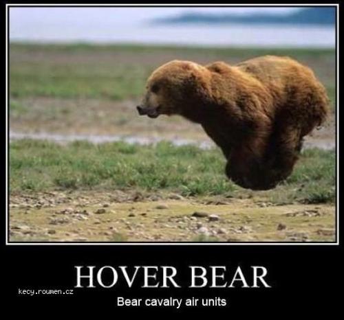 Hover Bear