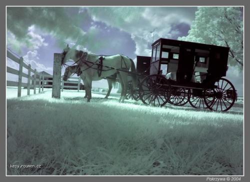 Infrared look on Amish country2
