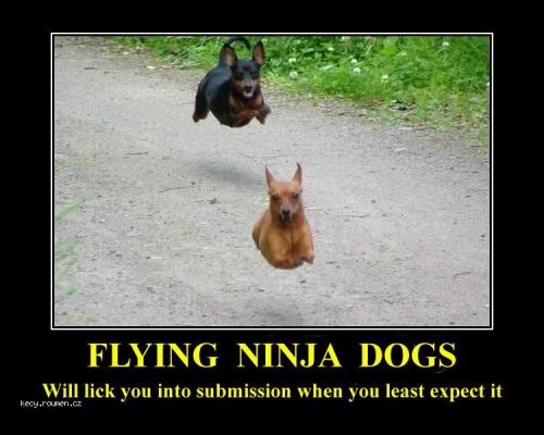  demotivational posters flying dogs 