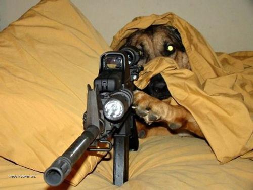 Dogsniper