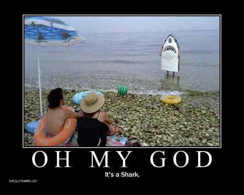  OMG shark 