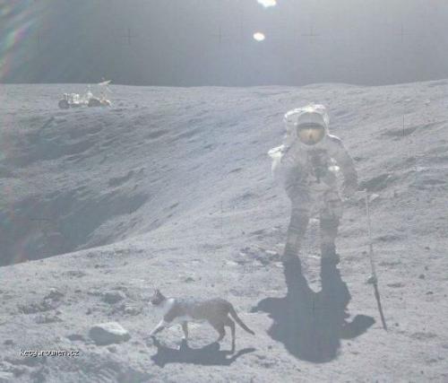 wtf on the moon
