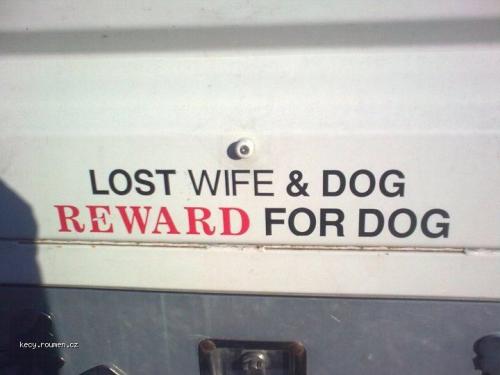  lost wife 