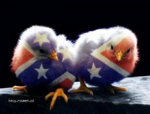  american chicks 