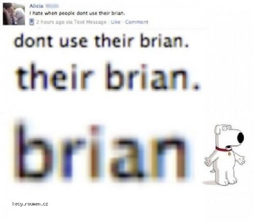  brian 