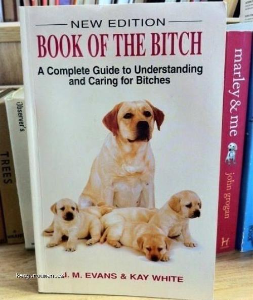 Book of the bitch