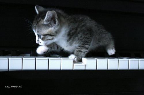  hrac na piano 
