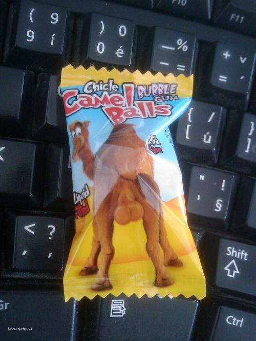  camel balls zuvacky 