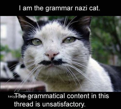 GrammarNazi