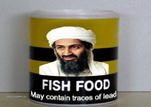  Fish food 