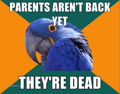  paranoid parrot 