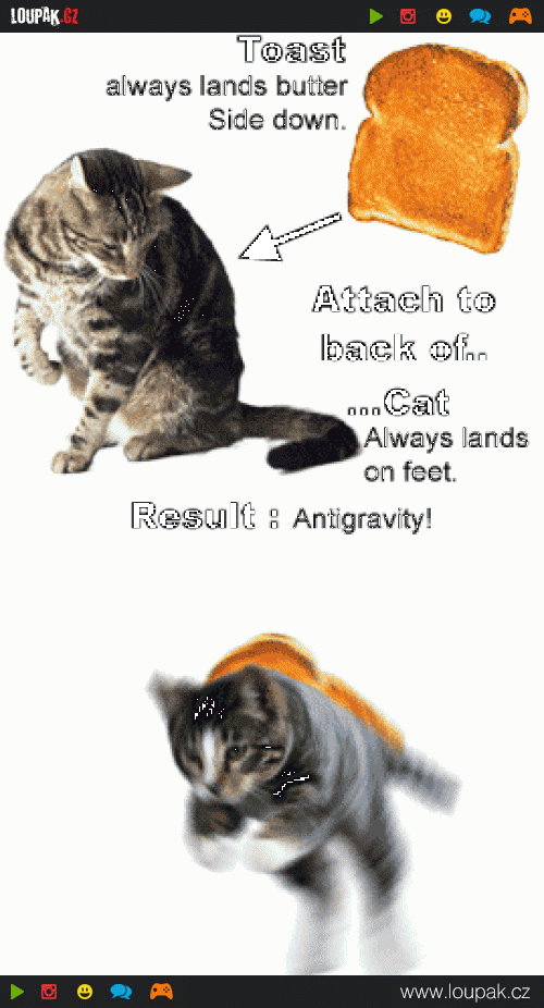  cat anti gravity 