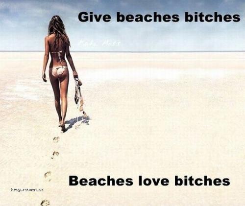  Give beaches bitches 