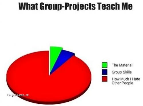  Group Projects 