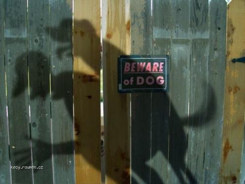 beware of dog