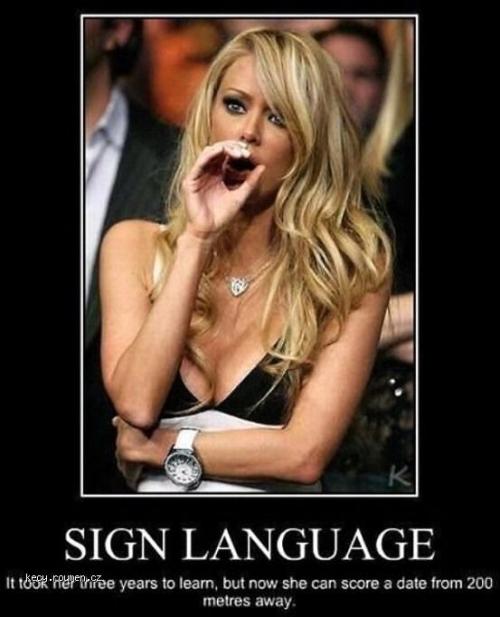 Sign Language 