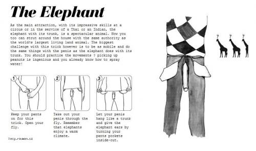  The Elephant 