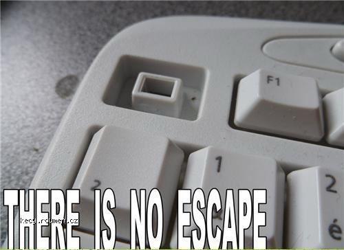  no escape 