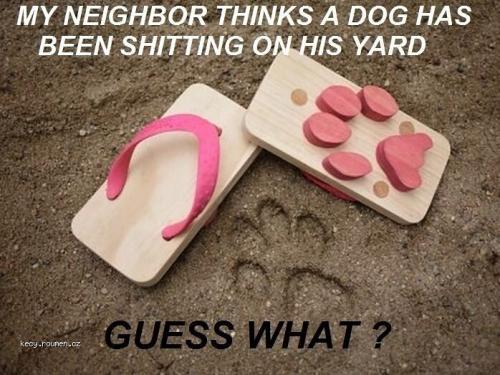 X Neighbors you so silly