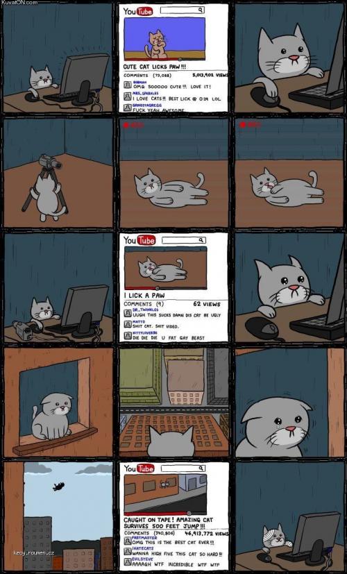  youtube cat comic 