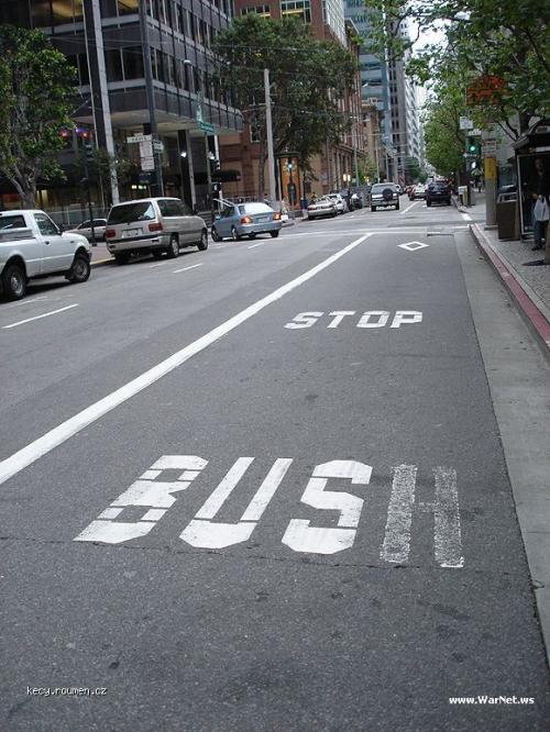  bush stop 