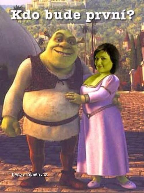  WEndy Shrek 