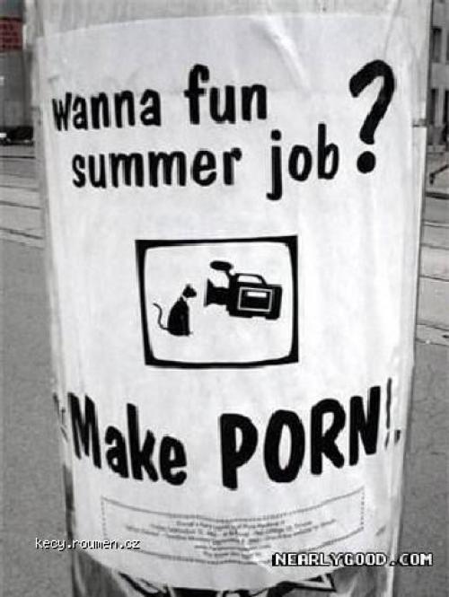 wanna summer job