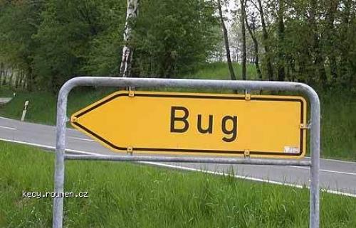  bug 