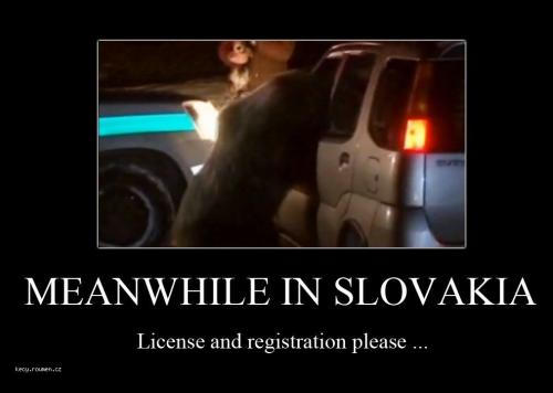  Meanwhile in Slovakia 