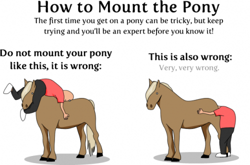  mount a pony 